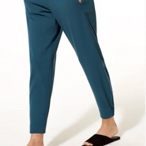 Dexter Aritzia Blue Pants!